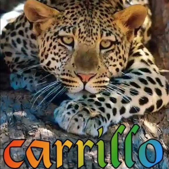 eli_carrillo